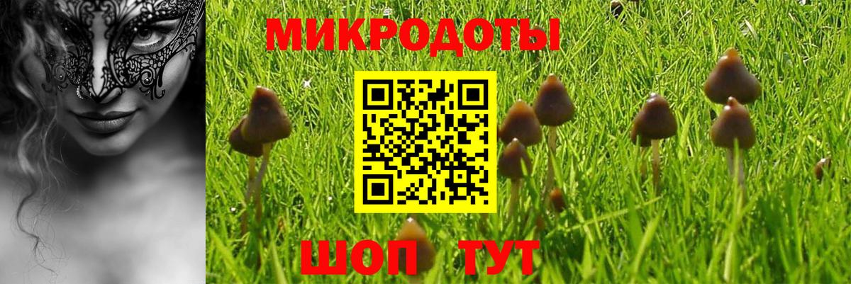 Галлюциногенные грибы прущие грибы Качканар