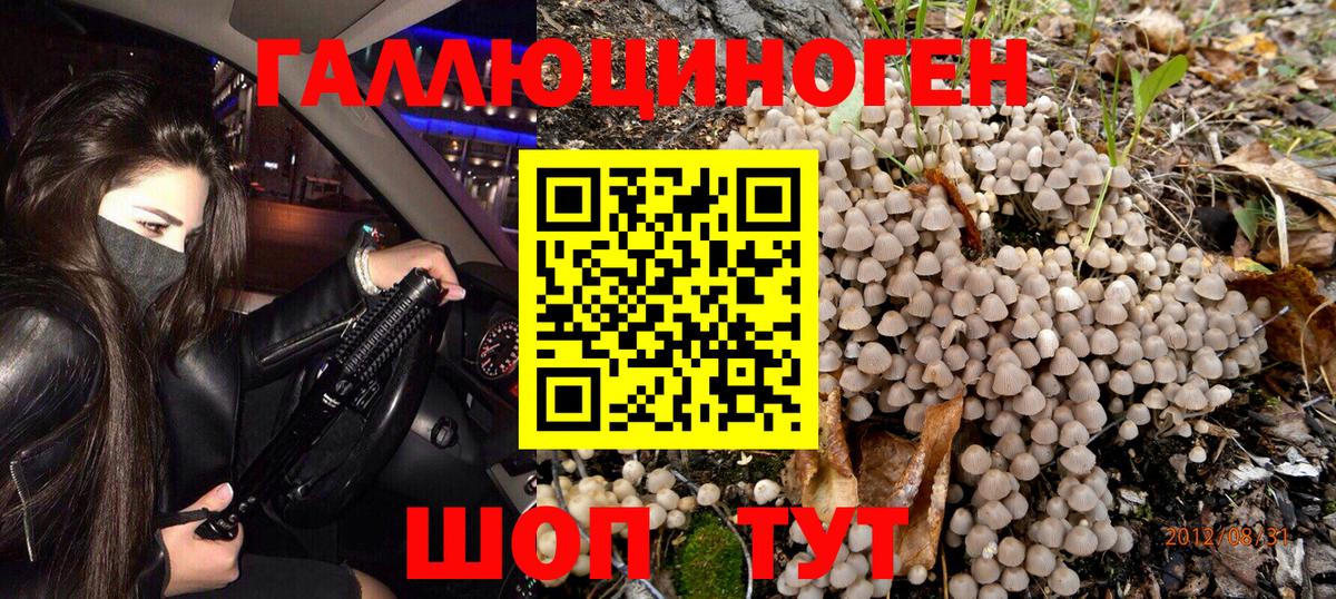 Качканар  Галлюциногенные грибы Psilocybine cubensis  Галлюциногенные грибы мухоморы  Вход с VPN 